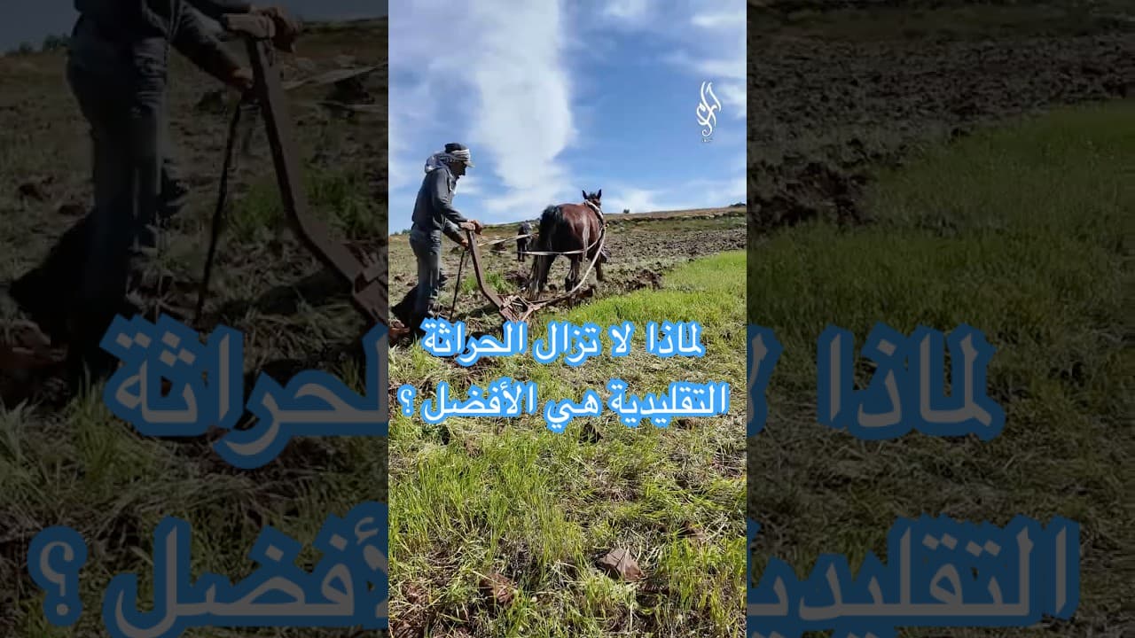 الفدان أم الآلات الحديثة؟ أيهما أفضل للتربة؟