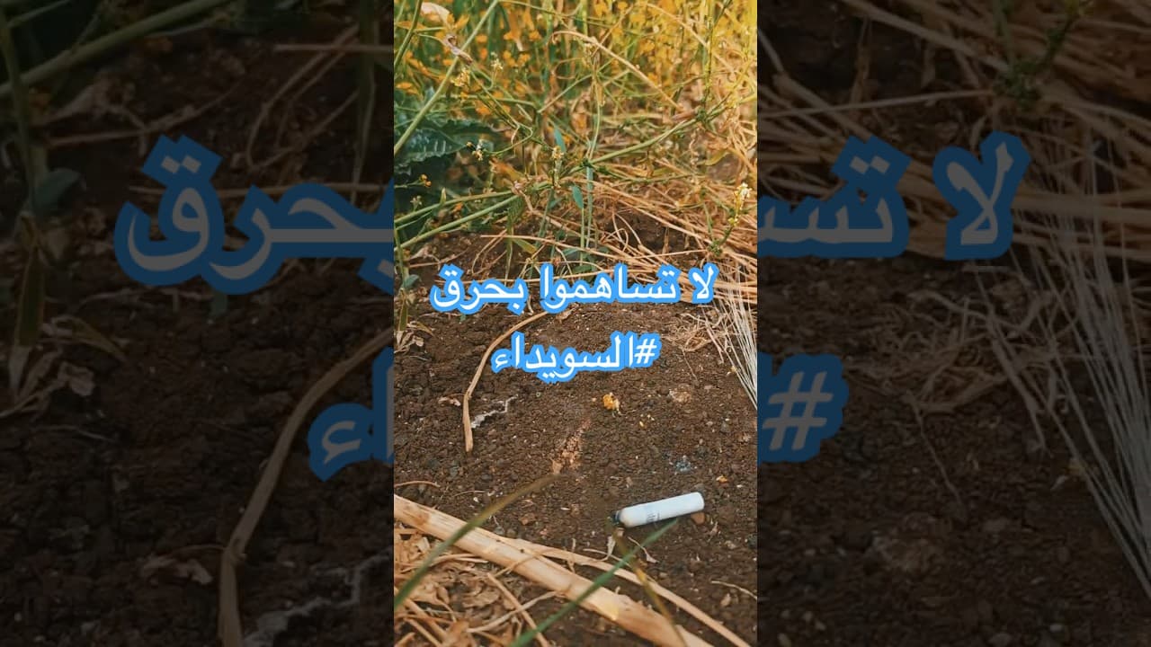 #كن_مسؤولاً… لا تساهم في حرق #السويداء